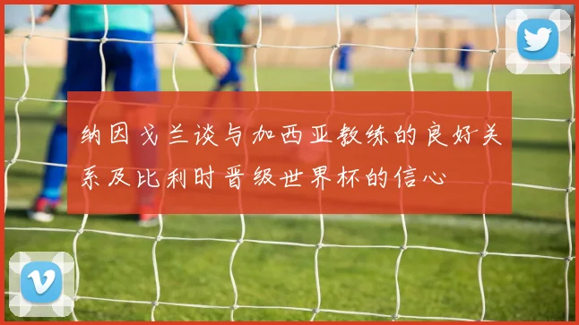 纳因戈兰谈与加西亚教练的良好关系及比利时晋级世界杯的信心