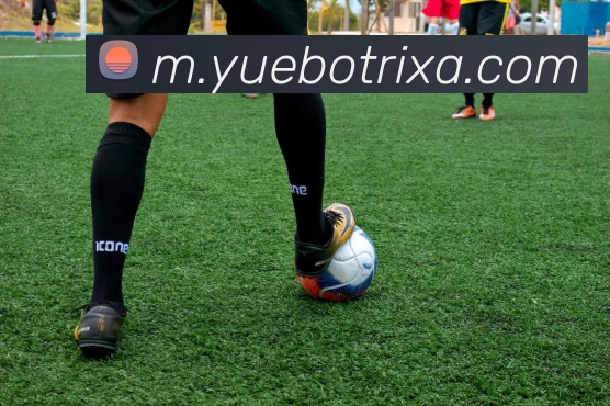 悦博体育APP 高清赛事图